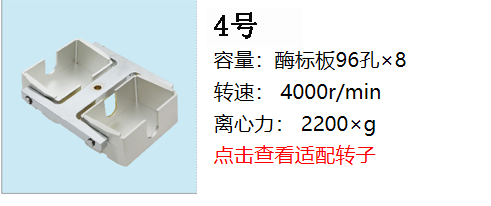 新轉(zhuǎn)子4.jpg