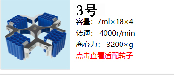 轉(zhuǎn)子3.jpg
